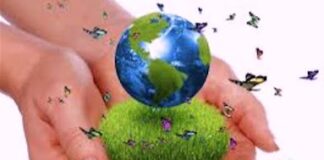 A Request for all Nature Restoration Volunteers – Zoom Call this Sunday