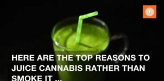 5 Reasons to Juice Rather Than Smoke Cannabis