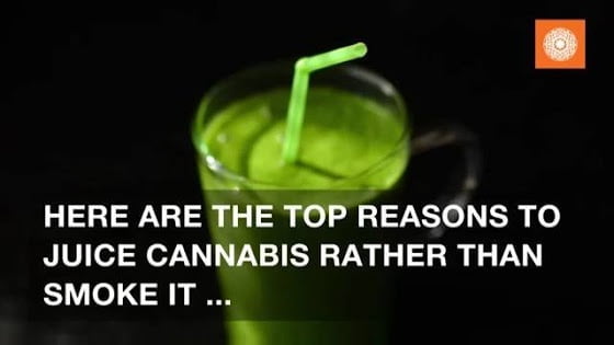 socialfeed-juicing-cannabis-gives-you-all-the-medical-benefits-without-the-high