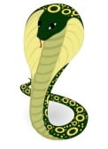16425948-vector-illustration-of-green-cobra