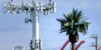 EMF Pollution: Electronic Neuro Weapons Silently Torturing Americans