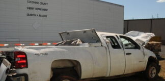 America, Downsized, Criminalized and Blue Gang Controlled