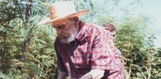 Moringa Trees: A Nutritional Miracle for Humanity