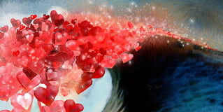 Ascension Connection, Gratitude and Living at Love and Above – Thursday, Nov. 20, 2025