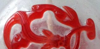 Understanding the Role of the Red Dragon Society Regarding The Event / The Re-Distribution of Wealth to Humanity