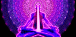 How to Find Balance and Immunity from AI Shadow Beings