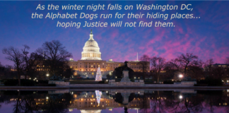 Why are CIA, DHS, NSA, FBI and FEMA retirees all bugging out? Is it preparation for something big?