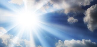 Zap & Poof Update – Brothers and Sisters