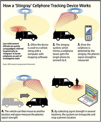 stingray explanation