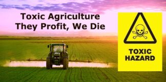 They Profit, We Die: Toxic Agriculture and the Poisoning of Soils, Human Health and the Environment