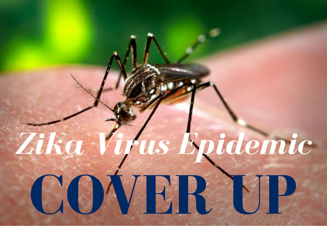 What is the Zika Virus Epidemic Covering Up?