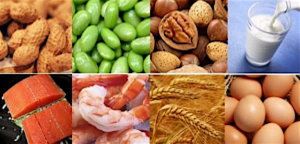 Ninety percent of people with food allergies in the United States are allergic to one of these top 8 foods: wheat, eggs, milk (all dairy), shellfish, fish, soy, peanuts and tree nuts. 