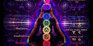 Chakras — A Beginner’s Guide To The Seven Energy Centers