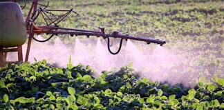 Pesticides and Herbicides like Glyphosate linked to Parkinson’s Disease and other Neurological Disorders