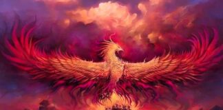 Walking the Razor’s Edge Toward Enlightenment