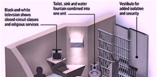 What is going to happen to the Cabal?