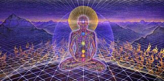 Is Ayahuasca Mother Nature’s “Red Pill”?