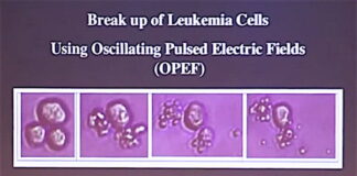 Breakthrough Discovery Shows That Resonant Frequencies Can Kill Cancer Cells