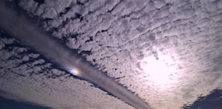 Top Scientist Confirms Aluminium Poisoning Via Chemtrails Is Real
