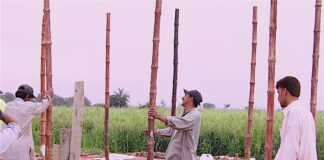 Architecture for Humanity Relaunches as Open Architecture Collaborative