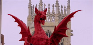 Establishment Empire