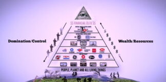 These 13 Families Rule the World: The Shadow Forces Behind the NWO