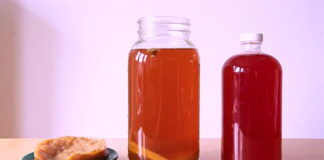 8 Health Benefits From Drinking Kombucha Tea