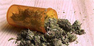 Proof Marijuana Is The Most Medicinal Plant On Earth