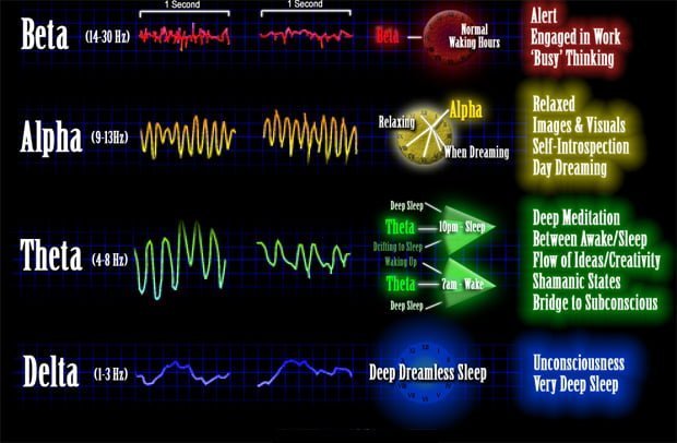 brain waves