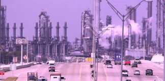 It’s not the Zika Virus! Microencephaly Caused by Petrochemical Pollution!