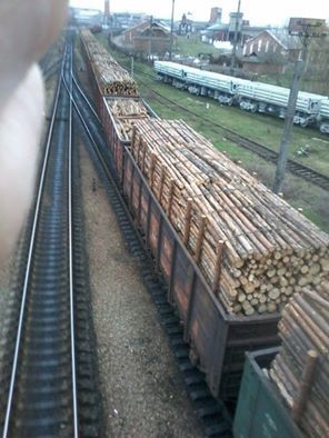 deforestation-of-ukraine