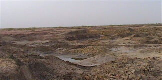 Aravali Institute of Management: The Story Of Breathing Life Into A Barren Land