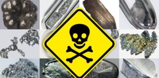 Heavy metals in food are more common than you think – Learn how to protect your family from them