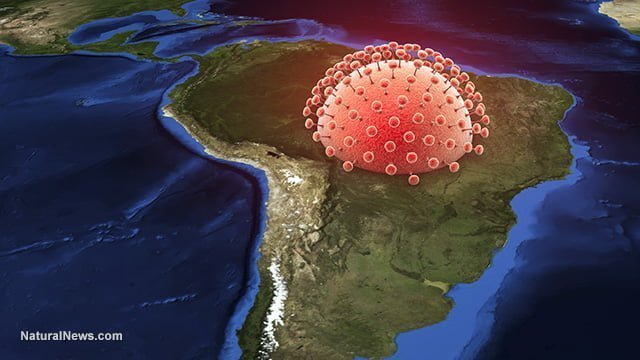 Zika-Virus-South-America