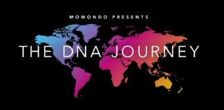 momomdo – How DNA opens up the world