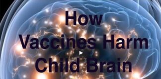 How Vaccines Harm Child Brain Development – Dr Russell Blaylock MD