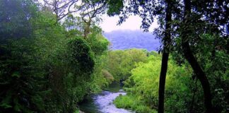 The Couple Who Bought Barren Land In 1991 And Transformed It Into A 300 Acre Wildlife Sanctuary