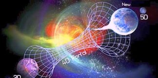 Cobra: Terms of Surrender Update