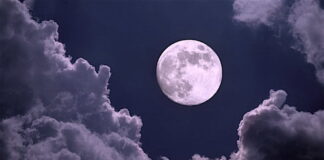 Activation of the Light Grid Meditation Monday, November 14 at 1:52 PM GMT (13:52 UTC)