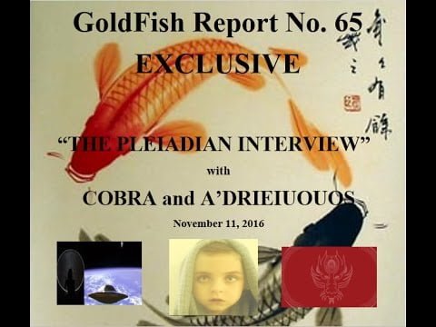 relatório goldfish 65 entrevista pleidiana com cobra e a'drieiuoios