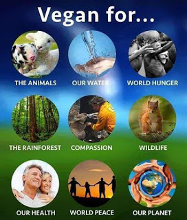 Porqué vegano