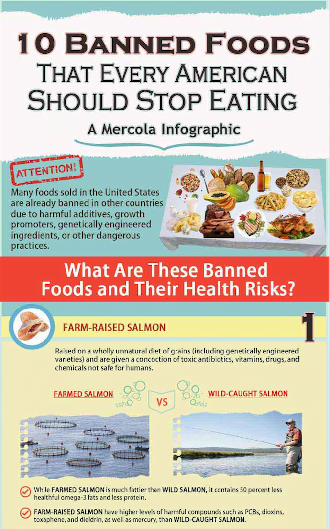 10 Banned Foods Americans Should Stop Eating Infographic Prepare For