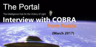 Interview with Cobra from Russia