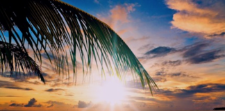 Simple Steps to Healing: Ho’oponopono