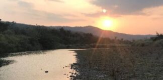 Personal Notes from Cobra’s Ascension Conference ~ March 11-12 2017