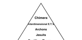 Dark Forces Hierarchy and Control Tactics
