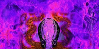 Violet Flame over Long Island – New Global Daily Meditation at 2PM UTC