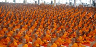 Transcript of WeLoveMassMeditation Interview