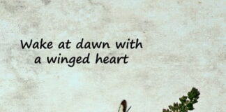 It’s Darkest Before Dawn