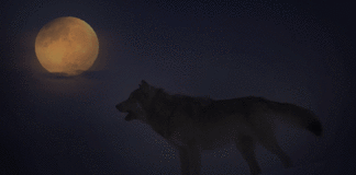 Supermoon Cleaning Meditation ~ Jan 2nd 2018